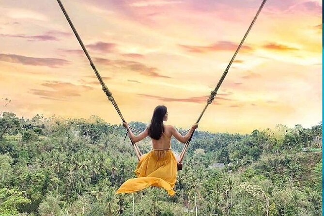 Best of Ubud Waterfalls, Tegalalang Rice Terrace and Swing Tour - Price and Logistics: Private Car, Key Tickets, and a Realistic Day Plan
