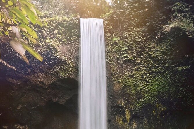 Best of Ubud Waterfalls, Tegalalang Rice Terrace & Jungle Swing - What’s included (and what you’ll end up paying for)