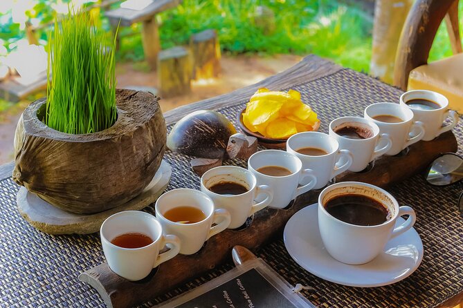 Best of Ubud: Waterfalls, Temple & Rice Terraces Private Day Tour - Tirta Empul Temple: holy spring water and purification ritual etiquette