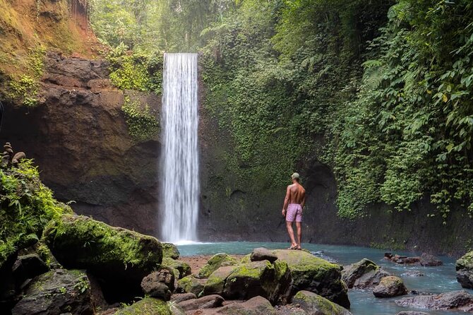 Best of Ubud: Waterfalls, Temple & Rice Terraces Private Day Tour - Tegalalang Rice Terrace: UNESCO views and phone-photo angles