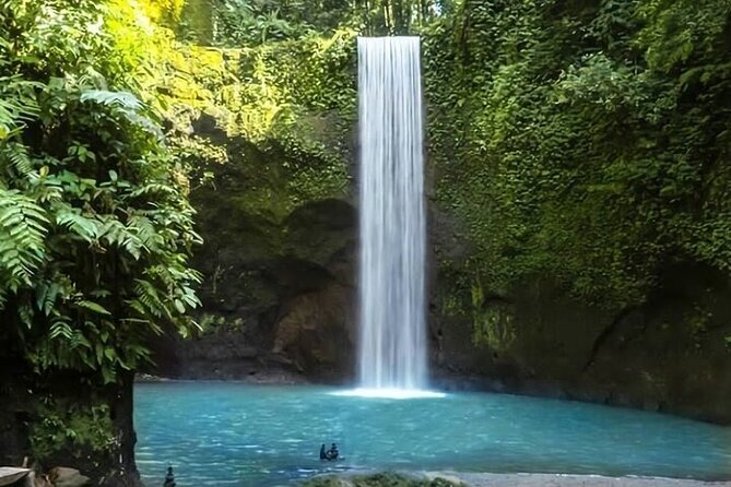 Best of Waterfalls: Tibumana waterfall, Tukad Cepung, & Tegenungan - Tibumana at 3:00 PM: forest vibes and a real workout
