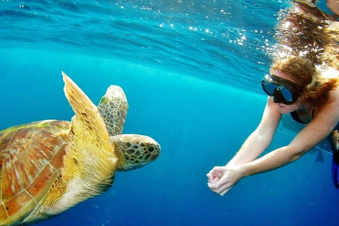 Best Snorkeling Trip at Blue Lagoon Bali - Why Blue Lagoon and Tanjung Jepun makes a smart day plan