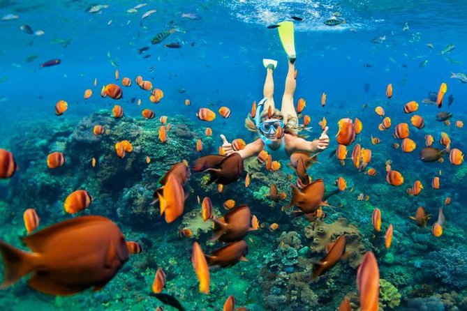 Best Snorkeling Trip at Blue Lagoon Bali - Getting to Padang Bai from Ubud: the ride is part of the deal