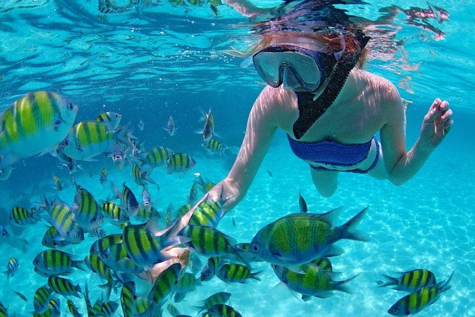 Best Snorkeling Trip at Blue Lagoon Bali - Blue Lagoon Beach: what makes it worth the first stop