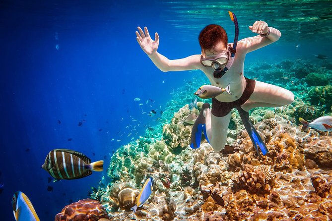 Best Snorkeling Trip at Blue Lagoon Bali - Tanjung Jepun: the second site with the most fish—and jellyfish risk