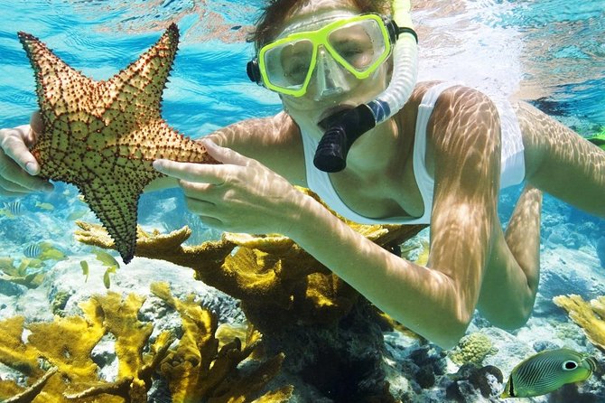 Best Snorkeling Trip at Blue Lagoon Bali - Getting to Padang Bai from Ubud: the ride is part of the deal