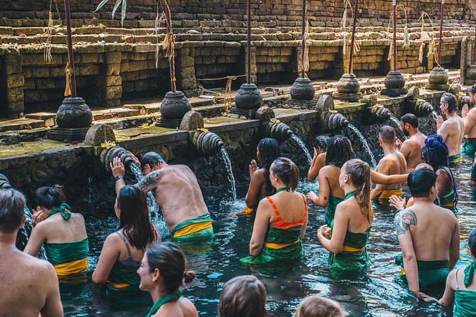 Best Ubud Highlights - Private Day Tour - A private chauffeur in Ubud saves real time