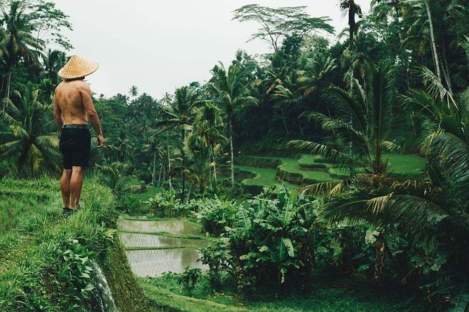Best Ubud Tours -All inclusive with private driver - Key highlights