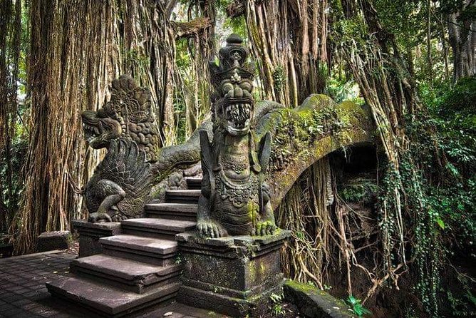 Best Ubud Tours -All inclusive with private driver - Tegallalang Rice Terrace: The Photo Stop That Sets the Tone