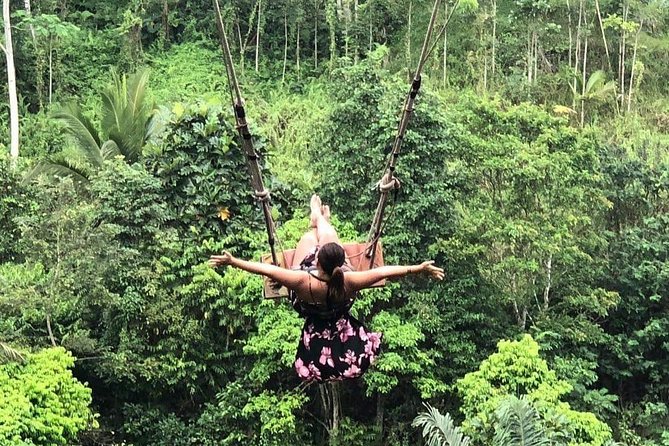 Best Ubud Tours -All inclusive with private driver - Tegallalang Rice Terrace: The Photo Stop That Sets the Tone