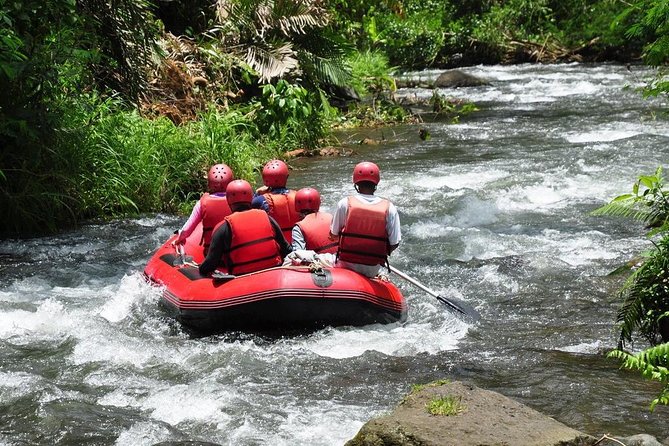 Best White Water Rafting in Bali - The Ayung River setting: action plus jungle and that waterfall moment