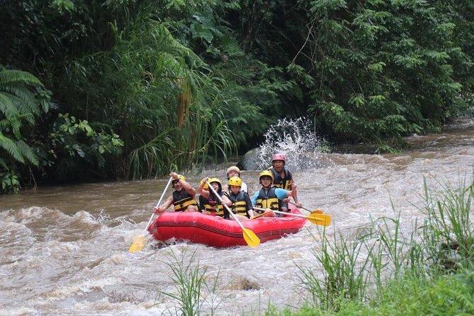 Best White Water Rafting in Bali - Who should book this Ayung rafting (and who should skip)