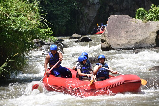 Best White Water Rafting & Lunch, Ubud - Getting Started at Ayung Dewata Rafting, Kedewatan