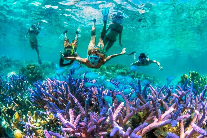 Bloo Lagoon Snorkeling East Bali Includes Transportation & Lunch - Price and logistics: what the $82.50 covers