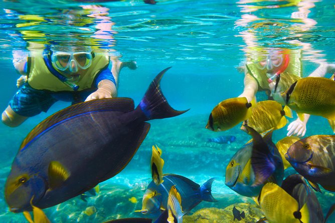 Bloo Lagoon Snorkeling East Bali Includes Transportation & Lunch - Kusamba black-sand beach: the 30-minute change of pace