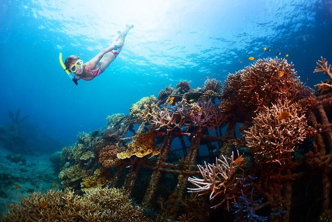 Bloo Lagoon Snorkeling East Bali Includes Transportation & Lunch - Lunch that actually fits the day