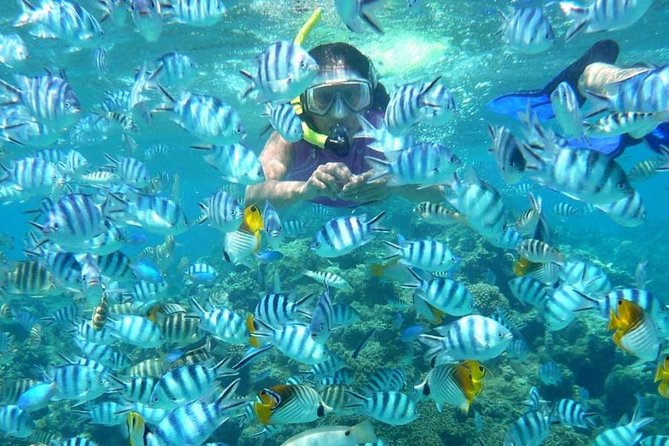 Bloo Lagoon Snorkeling East Bali Includes Transportation & Lunch - Gear, support, and making your first snorkeling feel doable