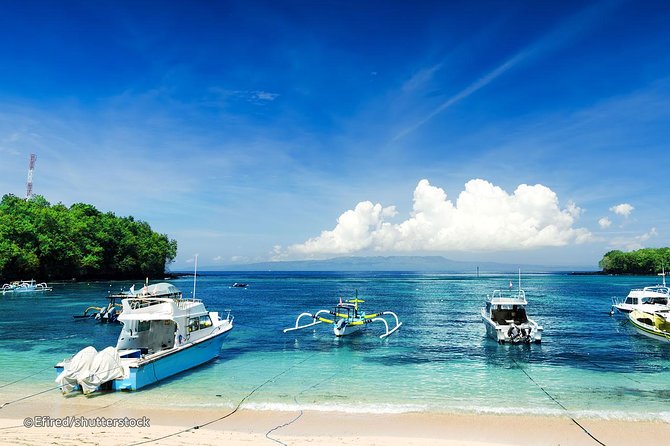 Bloo Lagoon Snorkeling East Bali Includes Transportation & Lunch - Lempuyang Temple upgrade: Gates of Heaven without the extra planning