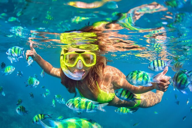Blue Lagoon Bali Snorkeling Experience - Getting picked up from Ubud: what the 7 to 12 hours really means