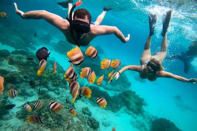 Blue Lagoon Snorkeling and Lunch - Ubud Monkey Forest - Waterfall - Snorkeling Morning: Padangbai, Local Boat Transfers, and Guide Gusti