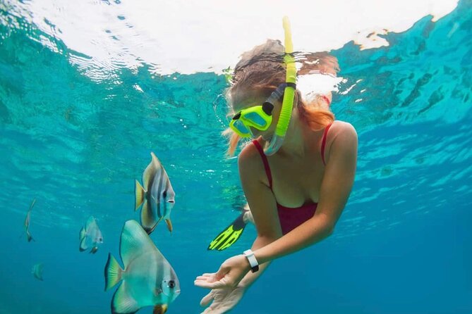 Blue Lagoon Snorkeling and Lunch - Ubud Monkey Forest - Waterfall - Gear, Shower Time, and Lunch at Topi Inn in Padangbai