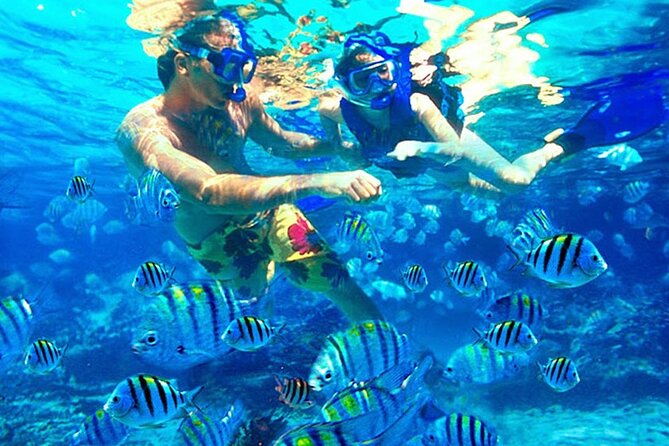 Blue Lagoon Snorkeling and Lunch - Ubud Monkey Forest - Waterfall - Price and Value: Is $48 Worth It for This Full Route?