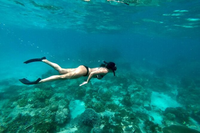 Blue Lagoon Snorkeling and Lunch - Ubud Monkey Forest - Waterfall - Who This Tour Suits Best (and Who Might Prefer a Different Plan)