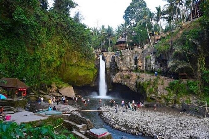 Blue Lagoon Snorkeling and Lunch - Ubud Monkey Forest - Waterfall - Should You Book This One?