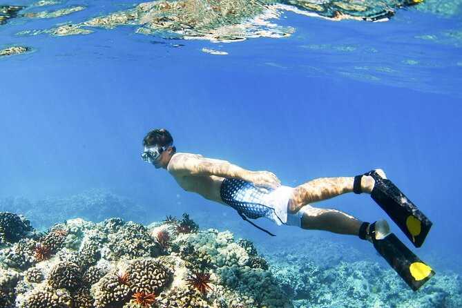 Blue Lagoon Snorkeling and Lunch - Ubud Monkey Forest - Waterfall - Gear, Shower Time, and Lunch at Topi Inn in Padangbai