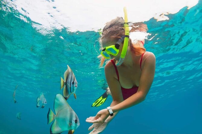 Blue Lagoon Snorkeling and Lunch with Tukad Cepung Waterfall - Key highlights worth packing for