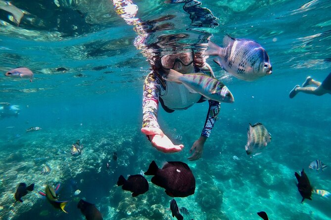Blue Lagoon Snorkeling and Lunch with Tukad Cepung Waterfall - Price check: is $56 per person good value?