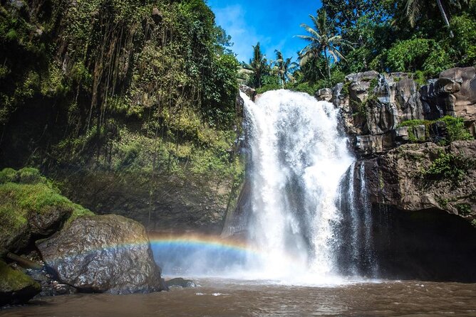 Blue Lagoon Snorkeling and Lunch with Visit Tegenungn Waterfall in Ubud - Quick take: what makes this private Ubud day work