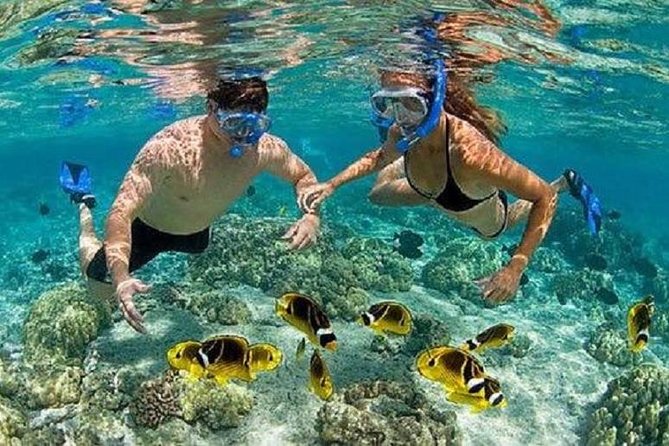 Blue Lagoon Snorkeling and Lunch with Visit Tegenungn Waterfall in Ubud - How the boat transfers and 1-hour snorkeling blocks feel