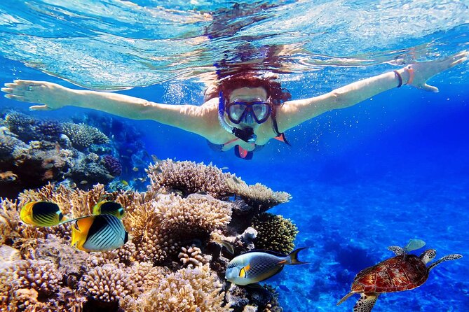 Blue Lagoon & Tanjung Jepun Snorkeling Private Tour - Key things I’d circle before you book