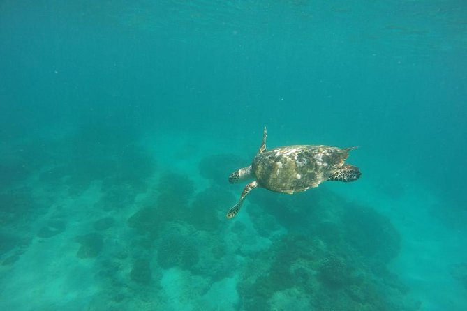 Blue Lagoon & Tanjung Jepun Snorkeling Private Tour - The boat ride: why the traditional boat matters