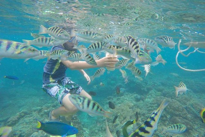 Blue Lagoon & Tanjung Jepun Snorkeling Private Tour - Timing and pacing: about 6 hours without feeling stretched
