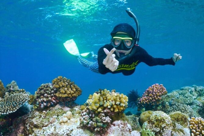 Blue Lagoon & Tanjung Jepun Snorkeling Private Tour - Pickup, meeting your guide, and that useful pre-snorkel briefing