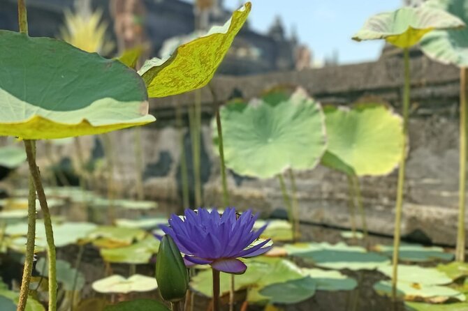 Brahmavihara Arama Banjar Hot Spring Ulundanu Bratan Private Tour - Ulun Danu Beratan Temple: Lake-Side Gardens and Fresh Air