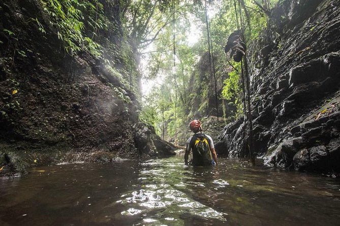 Canyoning Bali : Anahata CANYON (Adventure, discovery, nature) - Anahata Canyoning in Ubud: the day feels like an adventure course