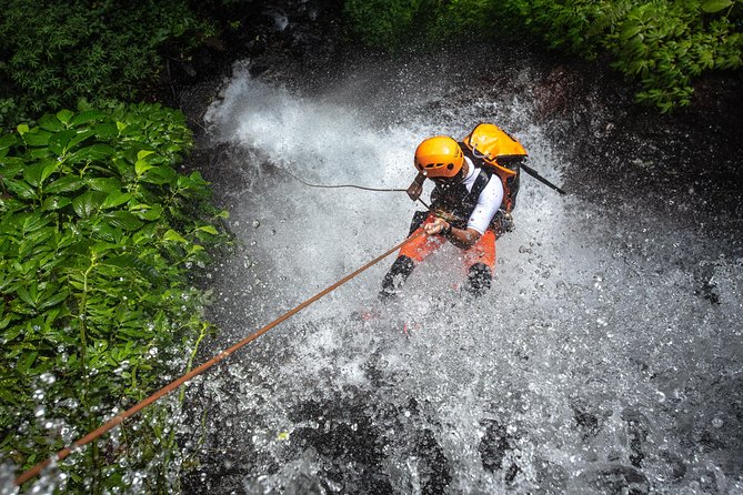 Canyoning Bali, Tamata Canyon (Adventure, discovery, nature) - Key highlights you’ll care about