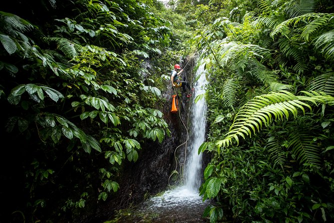 Canyoning Bali, Tamata Canyon (Adventure, discovery, nature) - Tamata Canyon: pure adrenaline with real instruction