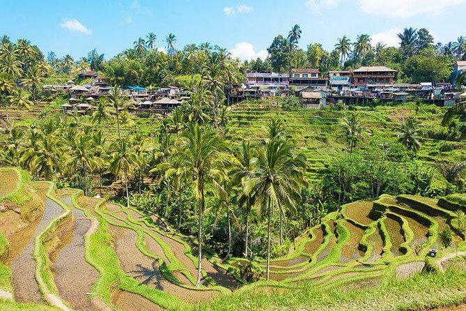 Central Bali Tour: Ubud Village, Kintamani Volcano, and Waterfall - Private tour comfort: air-conditioning, calm driving, and guide quality