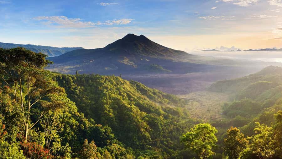 Central Bali: Ubud Village, Rice Terrace, and Kintamani Tour - The $30 Value: What You’re Getting in a One-Day Central Bali Loop