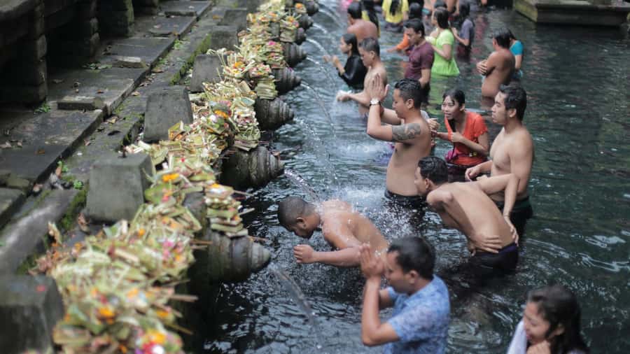 Central Bali: Ubud Village, Rice Terrace, and Kintamani Tour - Timing, Pickup Areas, and the Reality of a One-Day Tour