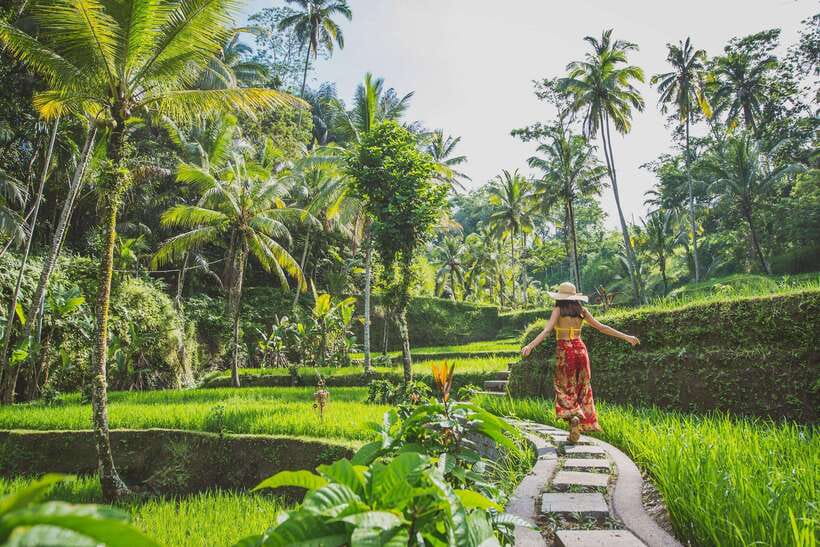 Cretya Ubud, Rice Terrace, Temple & Waterfall Day Tour - Coffee break at the plantation: a flavorful pause with a view
