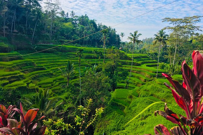Day Tour with Sunrise and waterfall - Price and Value: What $84 Covers (and What It Doesn’t)