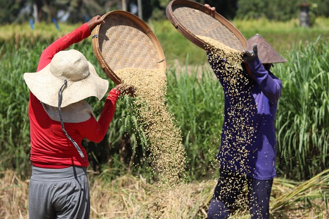 Day with a Balinese Family in a Village - Pickup, timing, and what to expect from the route