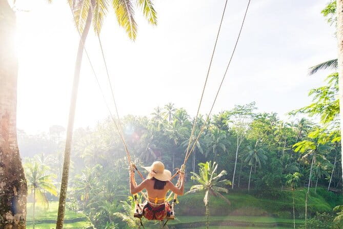 Discover Bali in 3 Days of Scenic and Cultural Delights - Day 1 West Bali: Tegallalang rice terraces, Tirta Empul holy water, and waterfalls