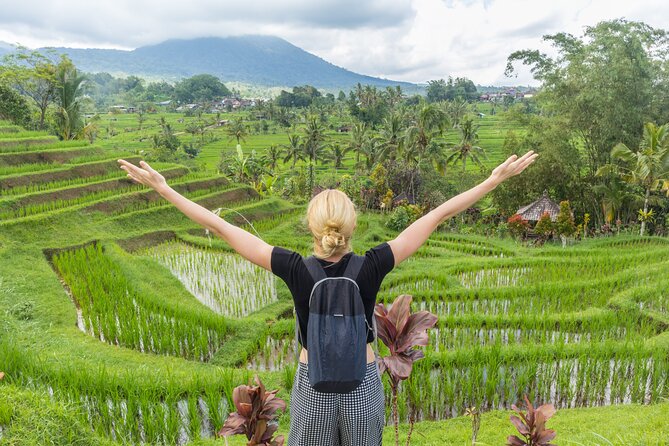 Discover Hidden Waterfall, Unesco Rice Terraces and Mountain Temple - 8:00 AM Pickup and an Air-Conditioned Car That Lets You Relax