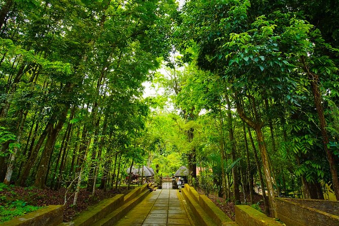 Discover Hidden Waterfall, Unesco Rice Terraces and Mountain Temple - How Much Walking Does This Bali Day Tour Really Involve?